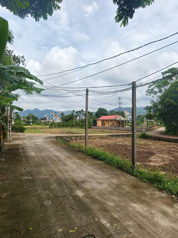 Đất thổ cư An Khang 155m² giá 790 triệu - Cơ hội đầu tư tuyệt vời!