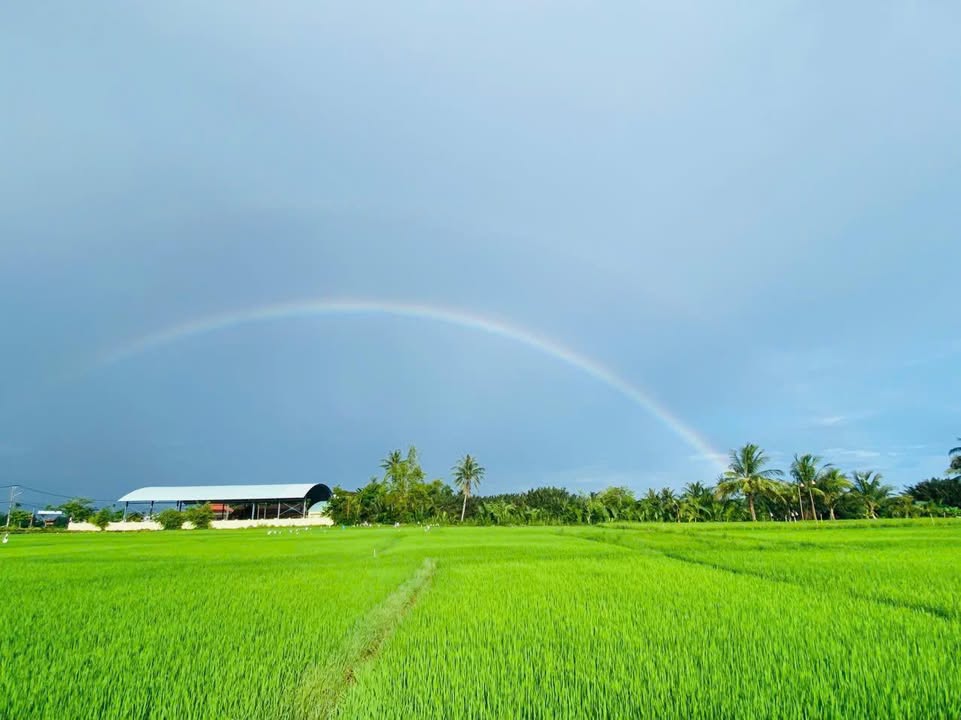 Đất nền 145m² tại Cẩm Thanh, Hội An - Giá 2.9 tỷ, Pháp lý rõ ràng!