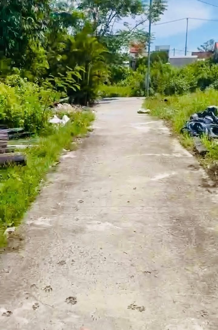 Đất nền Bến Trễ, Thanh Hà, Hội An 100m² giá chỉ 1 tỷ - Cơ hội đầu tư hấp dẫn!