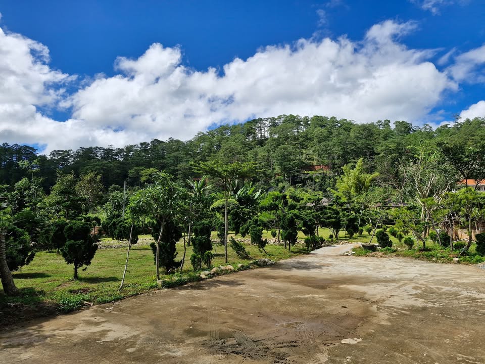 Bán gấp khu nghỉ dưỡng Đèo Mimoza Đà Lạt 2ha - Đầu tư sinh lời ngay!