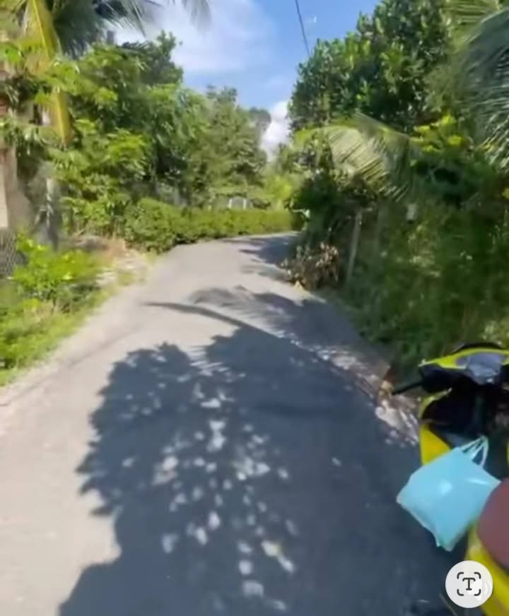 Bán gấp Farm 1.000m² tại Thanh Hoà, Cai Lậy - Sầu riêng đang đậy mủ!