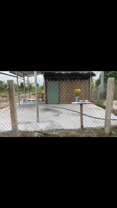 Đất thổ cư 1162m² tại Ấp 1, xã Tân Tây, Gò Công - Giá 1 tỷ, vị trí đẹp!