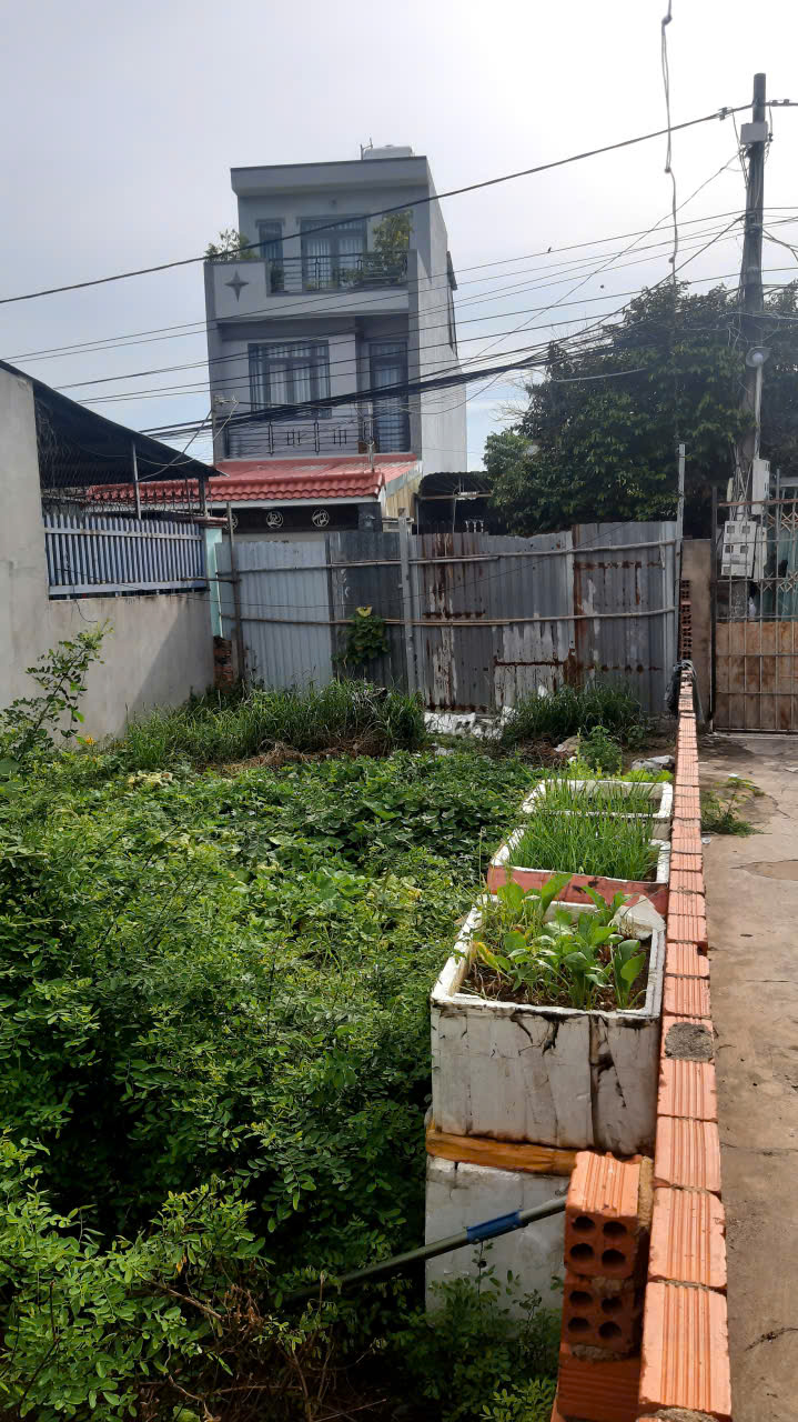 Đất nền Phường 10, Vũng Tàu 236m² - Cơ hội đầu tư hấp dẫn!