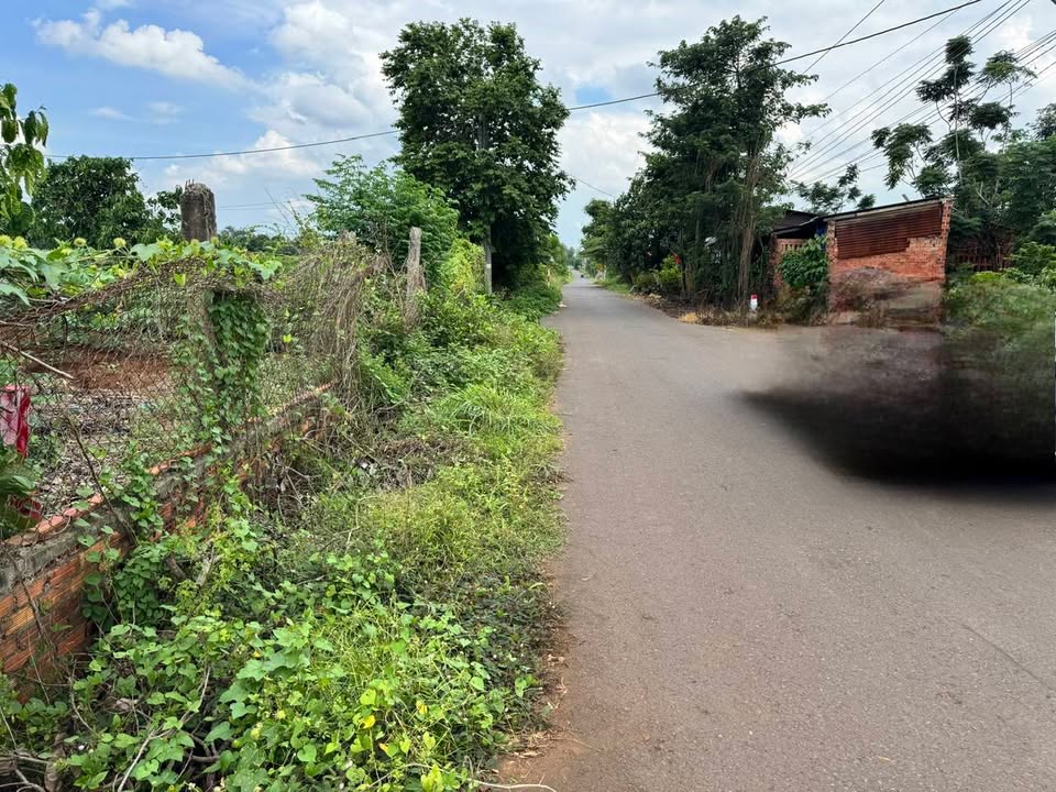 Đất thổ cư xã Bình Giã, Châu Đức, 234m² chỉ với 820 triệu - Cơ hội đầu tư hấp dẫn!