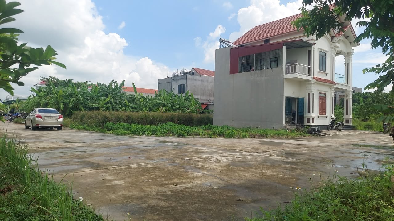 Đất đấu giá Liên Mạc, Thanh Hà 100m² giá 1 tỷ - Cơ hội đầu tư hấp dẫn!