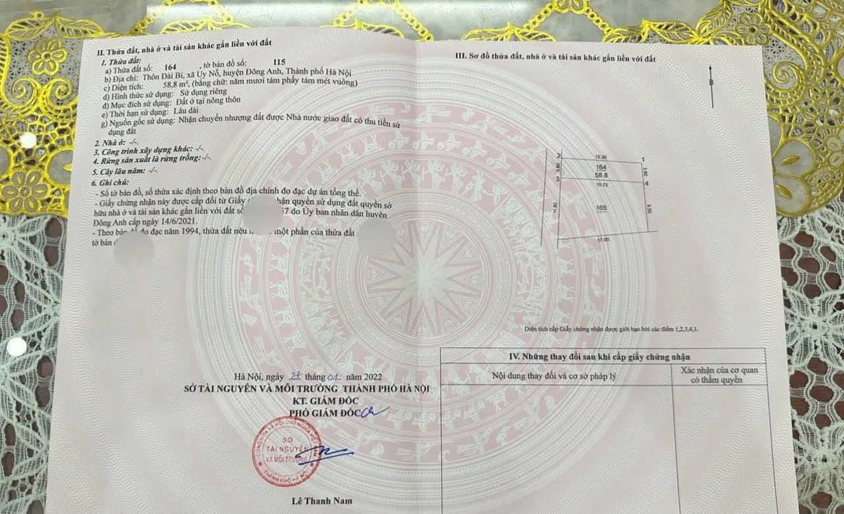 Đất nền Cổ Loa, Đông Anh 56.1m² giá chỉ 3.65 tỷ - Cơ hội hiếm có!