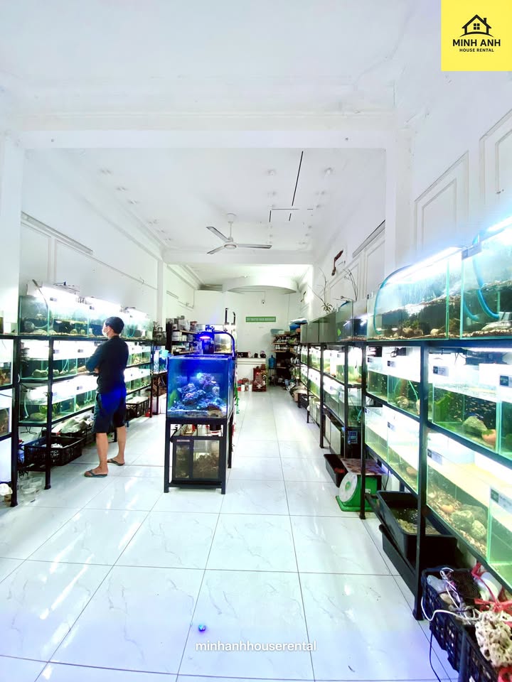 Nhà cho thuê Tân Hải, Tân Bình 216m² – Không gian sống lý tưởng cho gia đình!