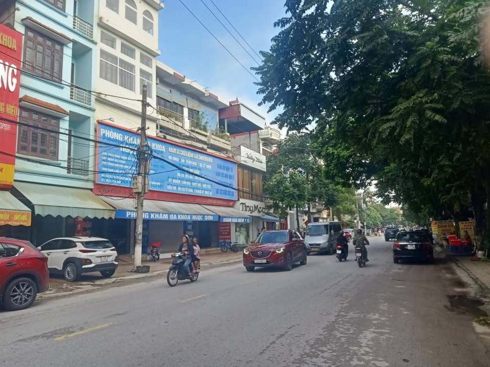 Đất Mặt Tiền Đường Trần Đăng Ninh 263m² giá 8.19 tỷ - Vị trí kinh doanh đắc địa!