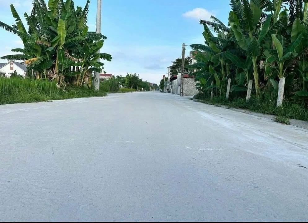 Đất nền 275m² tại Đồng Lợi, Triệu Sơn - Sổ đỏ chính chủ, giá chỉ 700 triệu!