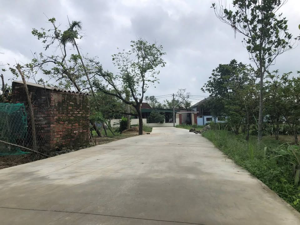 Đất Nền Nghi Ân 124m² giá 1.8 tỷ - Hướng Đông Nam Vượng Khí!