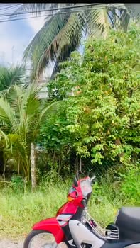 Đất hẻm 56 Trần Phú, Tây Ninh 100m² giá 15.5 tỷ - Đầu tư an toàn, lợi nhuận cao!