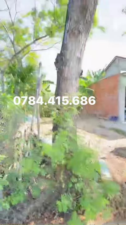 FrontHouse Nguyễn Thành Ý 105m² giá 1.1 tỷ - Mặt tiền kinh doanh sầm uất!