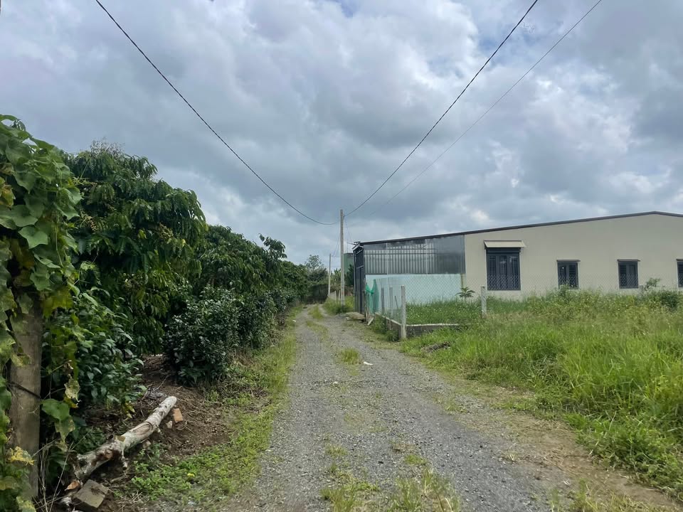 Đất hẻm Lê Thị Riêng - Bảo Lộc 500m² giá 1.75 tỷ - Đất thổ cư sẵn có!