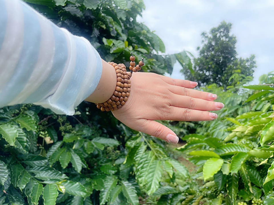 Đất nông nghiệp tại Ia Kênh, Pleiku 3846m² giá 1.7 tỷ - Đầu tư sinh lời tuyệt vời!