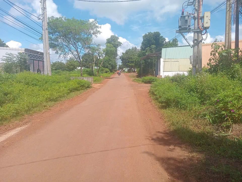 Đất nền Trương Định, Pleiku 232.4m² giá 600 triệu - Vị trí đắc địa cho đầu tư