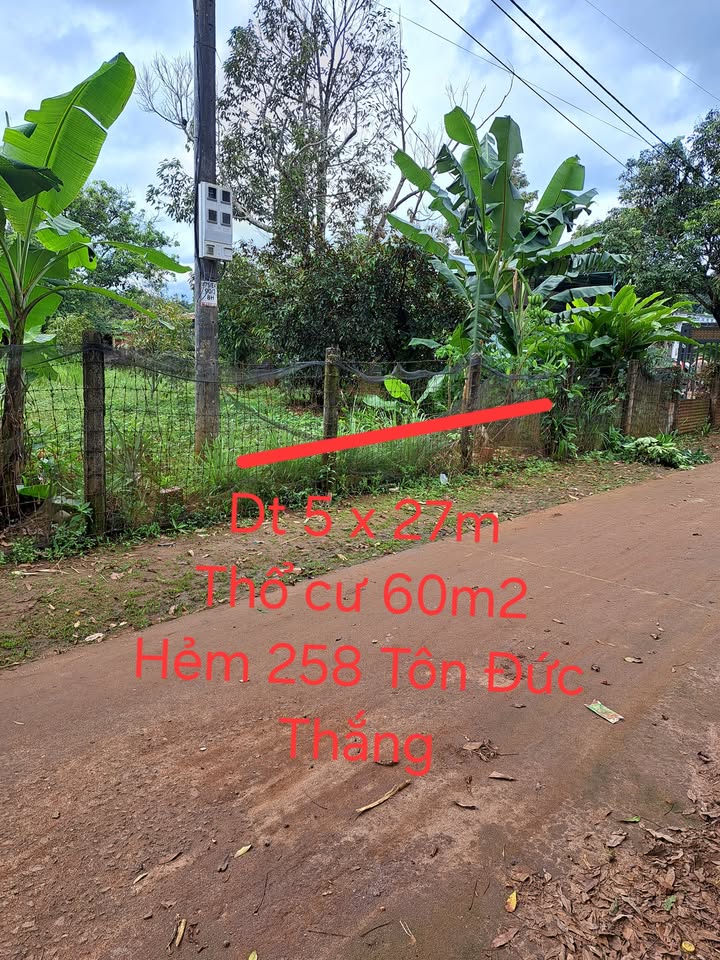 Đất Hẻm Tôn Đức Thắng, Biển Hồ 135m² giá 700 triệu - Đầu tư sinh lời ngay!