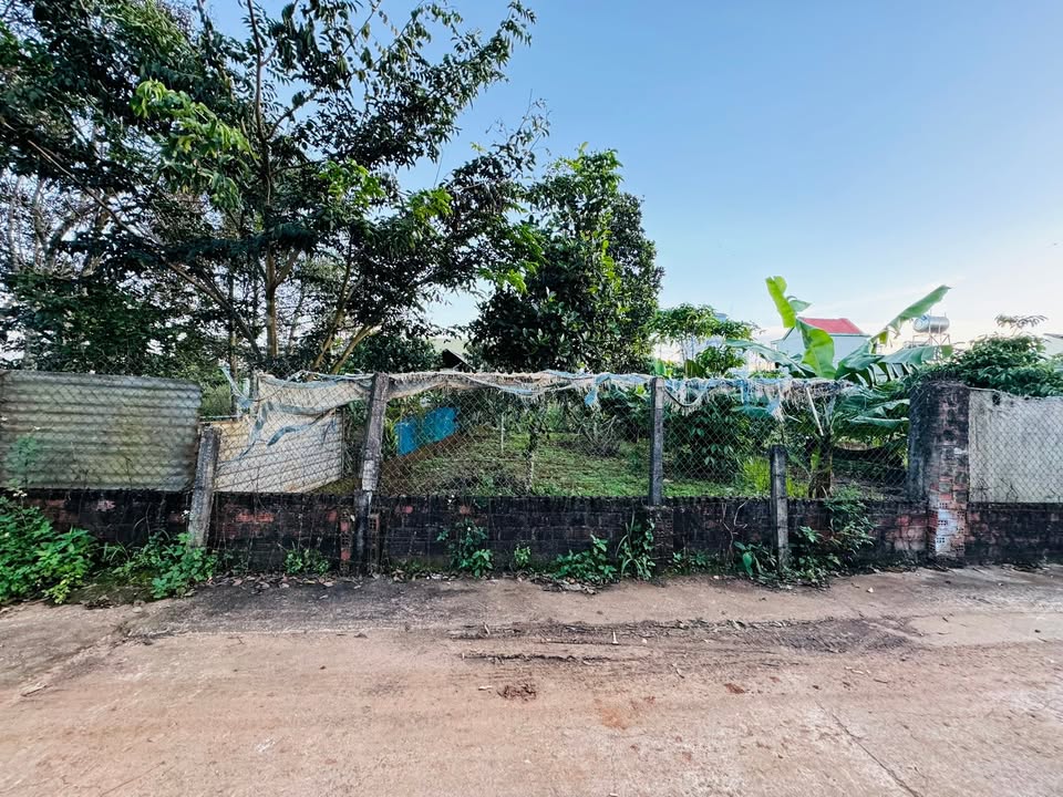 Đất hẻm Lê Đại Hành Pleiku 120m² giá 1.3 tỷ - Sổ hồng chính chủ!