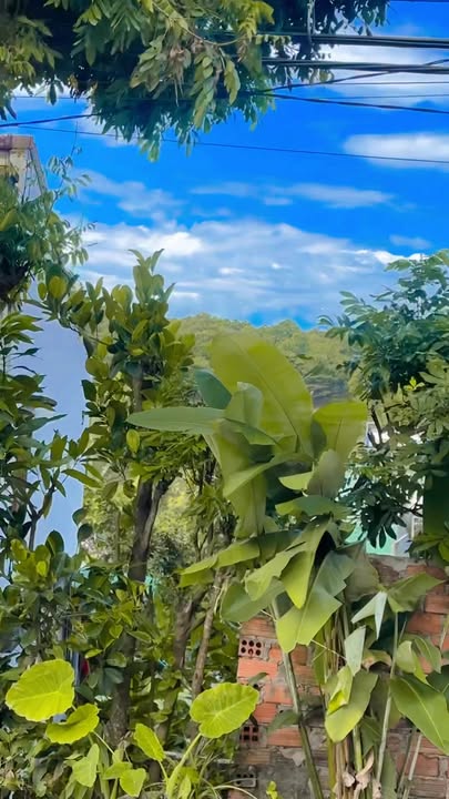 Đất nền mặt tiền đường Nguyễn Thiếp, Pleiku 120m² giá 2.9 tỷ - Cơ hội đầu tư hấp dẫn!