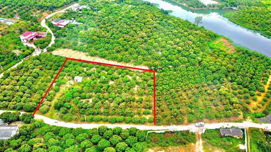 Đất nền 3110m² tại xã Kiên Lao, Bắc Ninh - Giá chỉ 2 tỷ, cơ hội đầu tư sinh lời!