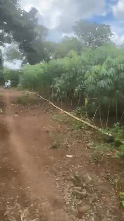 Đất nền 1440m² xã Ea M'nang, Cư M'gar, Đắk Lắk - Sổ hồng chính chủ, giá 1.35 tỷ!