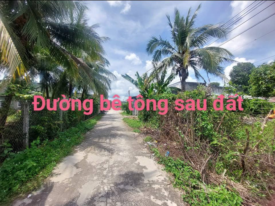 Đất thổ cư 300m² Thạnh Đức, Gò Dầu, Tây Ninh - Giá chỉ 3.3 tỷ, thương lượng!