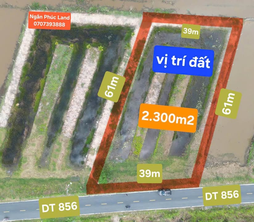 Đất nền 2.300m² đường ĐT 856, xã Phương Thịnh - Cơ hội đầu tư sinh lợi