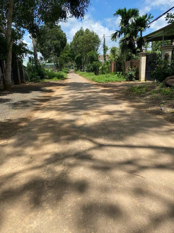 Đất đường Trần Quang Khải, Ea Kar 200m² giá 190 tỷ - Đầu tư sinh lời ngay!