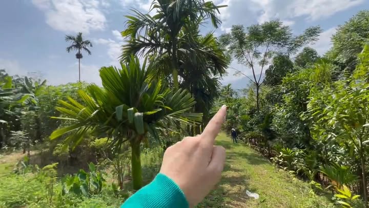 Đất nghỉ dưỡng Xuân Viên, Yên Lập 1.300m² giá 700 triệu - Không gian sống lý tưởng!