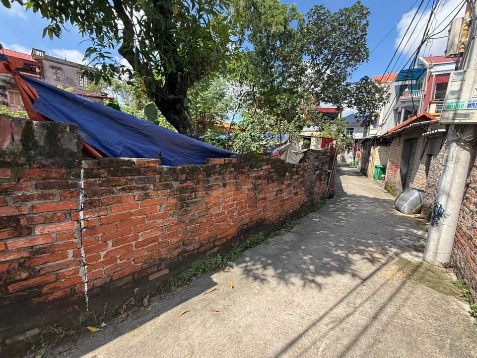 Đất nền Xuân Lâm, Thuận Thành 132m² giá chỉ 4.356 tỷ - Cơ hội đầu tư hiếm có!