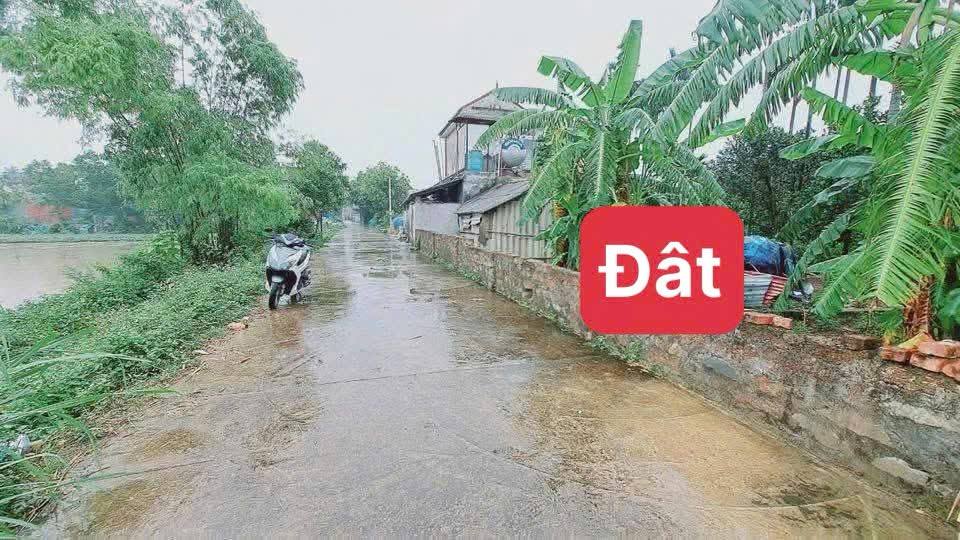 Đất nền An Tiến, Mỹ Đức 40m² giá 700 triệu - Cơ hội đầu tư hấp dẫn!