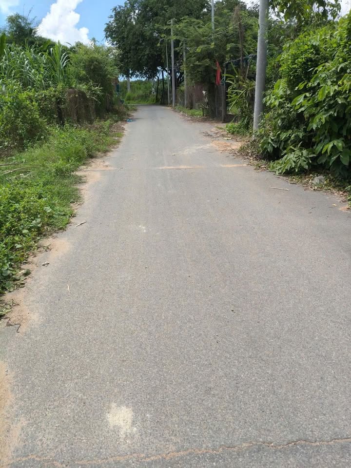 Đất nền Tam Phước, Long Điền 266m² giá chỉ 1.3 tỷ - Cơ hội đầu tư sinh lời!