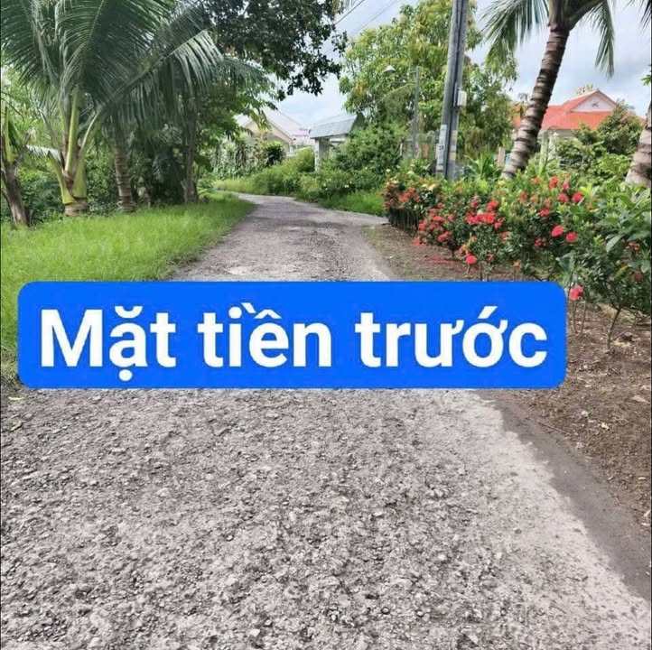 Đất nền Long An, Càng Long, Trà Vinh 115m² - Giá chỉ 260 triệu/nền, cơ hội đầu tư hấp dẫn!