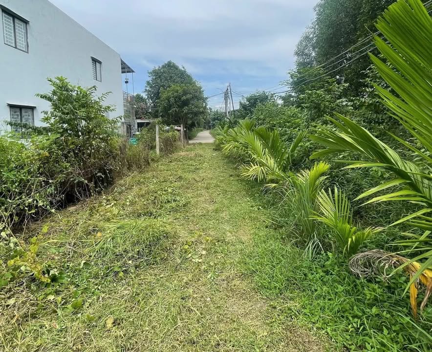 Đất nền Quảng Ngãi 561m² giá chỉ 600 triệu - Cơ hội đầu tư tuyệt vời!