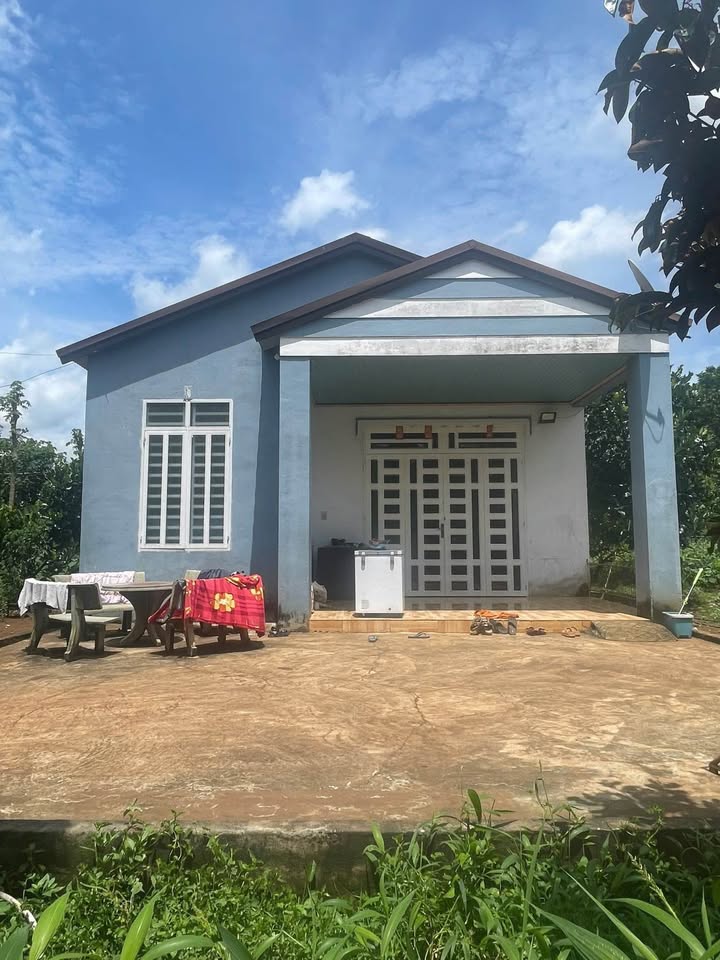 Đất nền 800m² tại ấp 9, xã Xuân Tây, Cẩm Mỹ chỉ 999 triệu - Cơ hội đầu tư tuyệt vời!