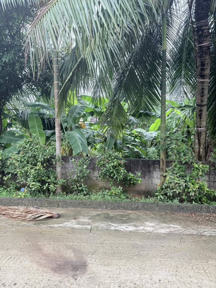 Đất nền 240m² Cổng làng Trung Chính, xã Gia Lâm giá 600 triệu - Cơ hội đầu tư hấp dẫn!