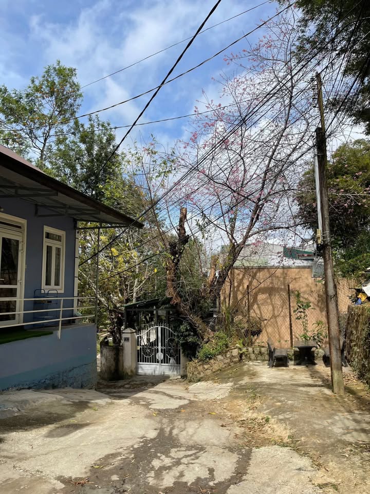 Nhà bán đường Mai Hoa Thôn, phường Xuân Hương, Đà Lạt 45m² giá 8.5 tỷ - Sổ riêng chính chủ!