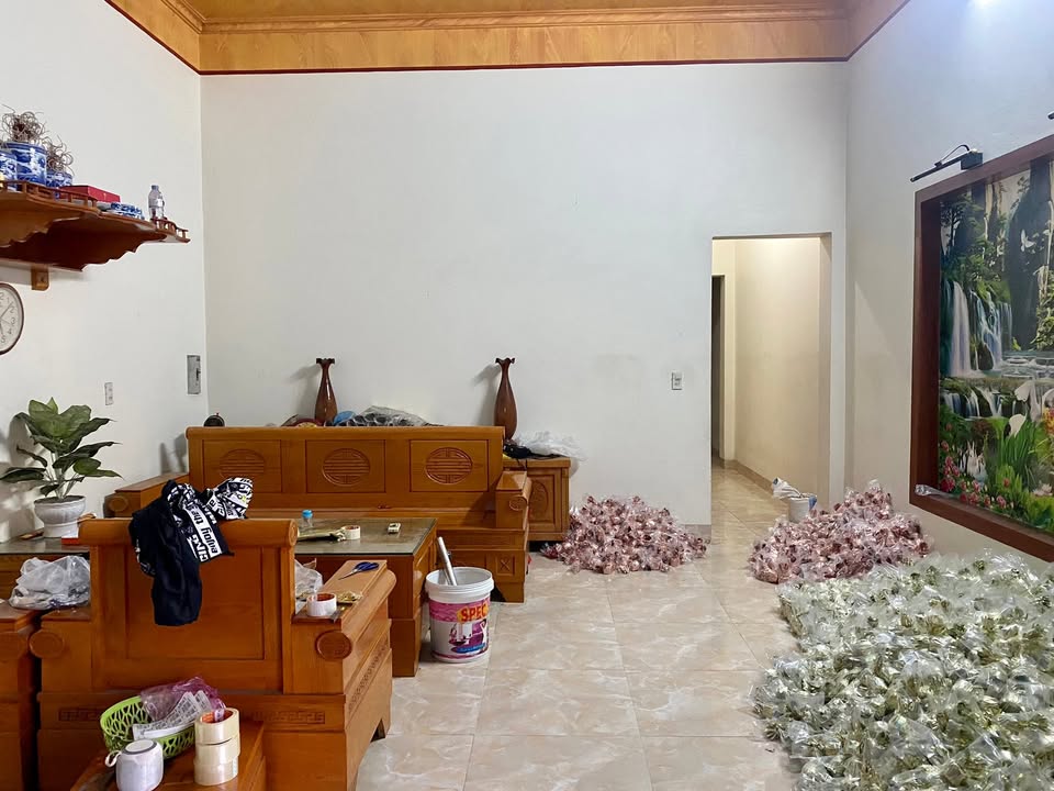 Nhà mái bằng kiên cố tại Minh Tân, Kinh Môn 300m² giá 1 tỷ - Đường ô tô vào tận cửa!