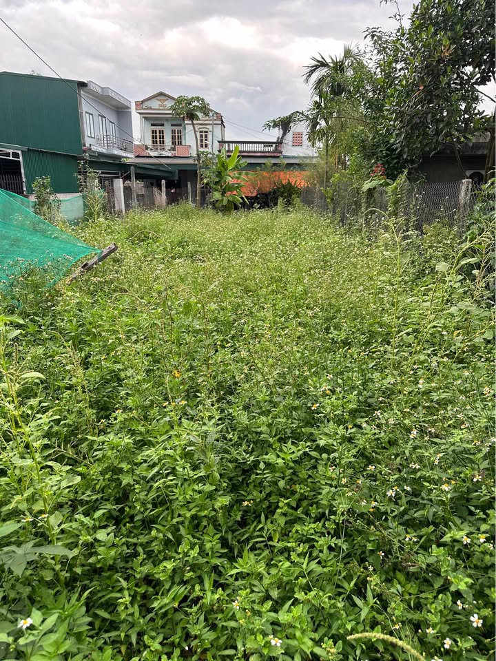 Đất 2 mặt tiền Kim Phú, Tuyên Quang 162m² - Tiềm năng đầu tư lớn!