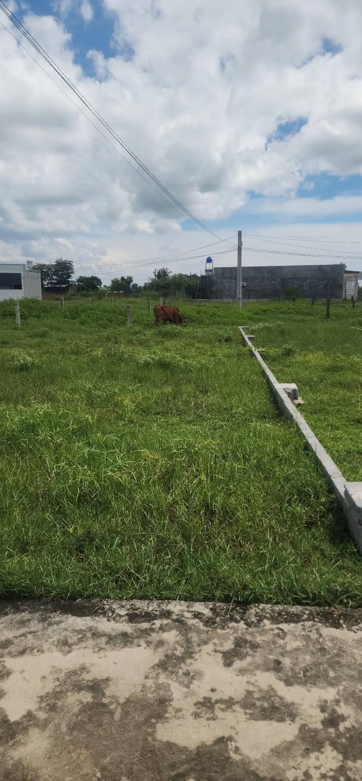 Đất nền An Phú Nam Hàm Hiệp 100m² giá 480 triệu - Thích hợp đầu tư ngay!