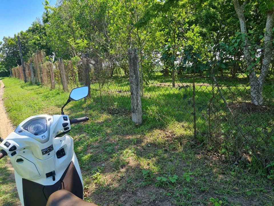 Đất thổ cư 7200m² tại xã Hàm Liêm, huyện Hàm Thuận Bắc chỉ 2.2 tỷ - Cơ hội đầu tư tuyệt vời!