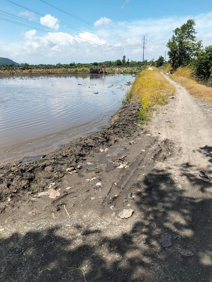 Đất nền 8 công tại xã Vĩnh Châu, Châu Đốc - Giá 1.84 tỷ, thương lượng chính chủ!