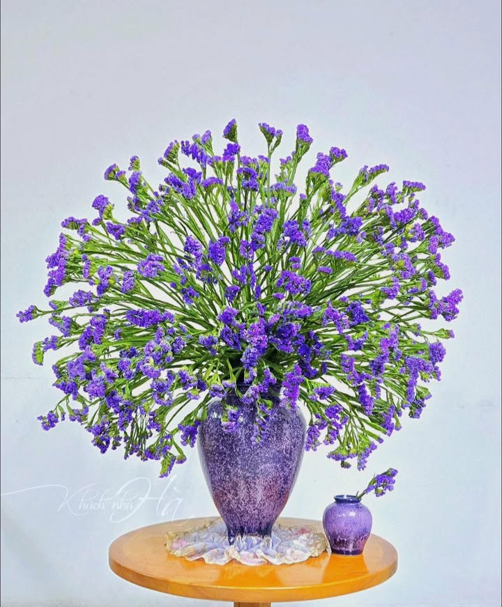 Đất nền Cách Mạng Tháng Tám, phường Gia Sàng, 125m² - Vị trí kinh doanh đắc địa!