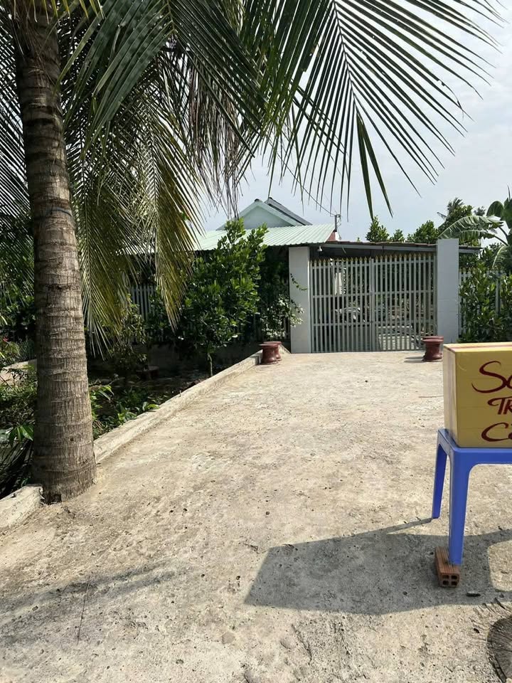 Nhà vườn mặt tiền ấp Thanh Đăng, xã Thanh Bình, 778m² giá 2.05 tỷ - Cơ hội đầu tư hấp dẫn!