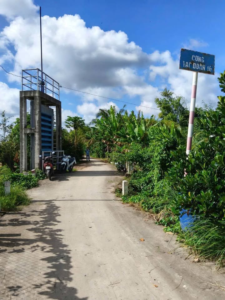 Đất vườn Sầu Riêng 1000m² tại Mỹ Phước Tây - Giá chỉ 700 triệu