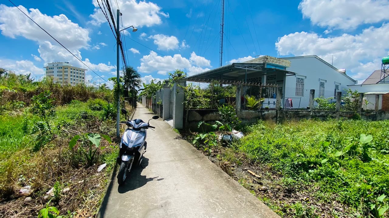 Đất nền Bến Tre 137m² giá 730 triệu - Không quy hoạch, thổ cư 100%!