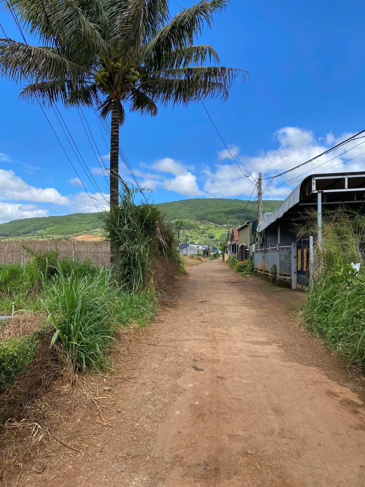 Đất Hiệp Thạnh, Đức Trọng 165m² giá 1.6 tỷ - Khu dân cư tiện ích, vị trí đắc địa!