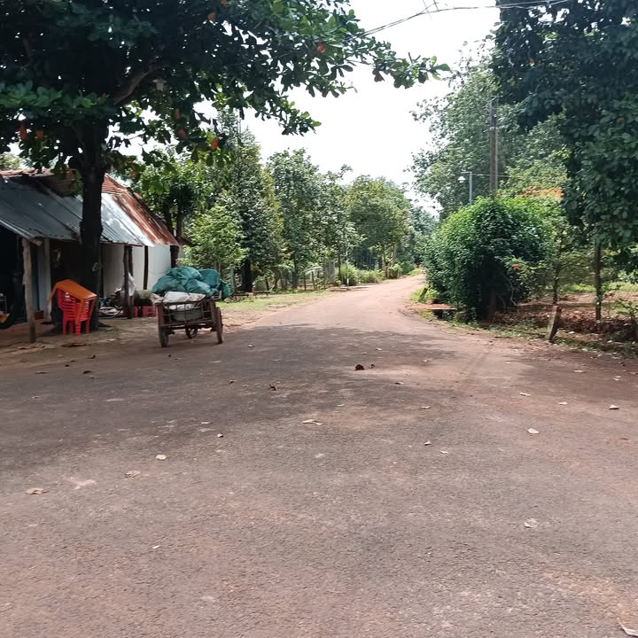 Đất Farm 360m² tại Lộc Thái, Chơn Thành - Giá thỏa thuận, xem ngay!