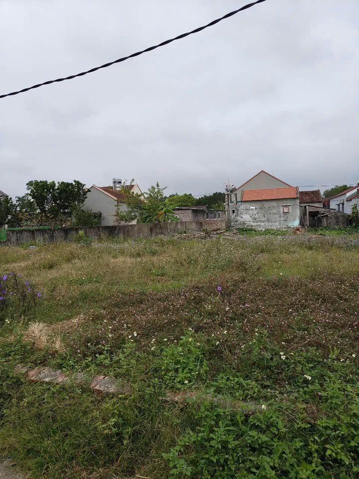 Đất nền thôn 5 Hải Tiến 115m² giá 550 triệu - Vị trí kinh doanh đắc địa!