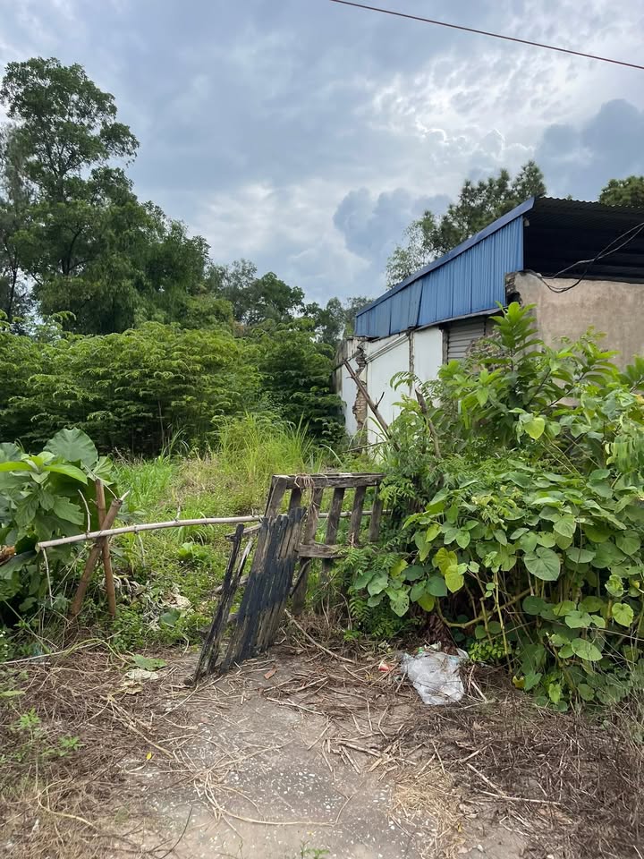 Đất nền Hồng Tiến Phổ Yên 126m² giá 1 tỷ - Cắt lỗ nhanh chóng!