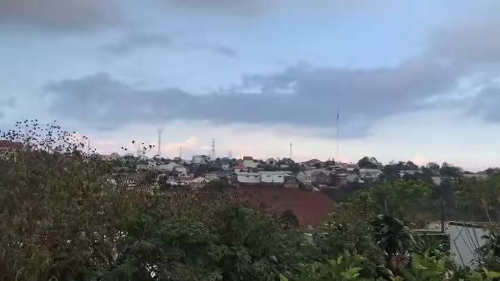 Đất nền Di Linh 150m² giá 1.2 tỷ - Nơi nghỉ dưỡng lý tưởng!